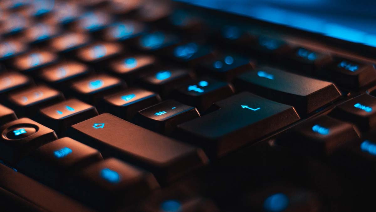 vulnerabilities-in-openemr-healthcare-software-expose-patient-data